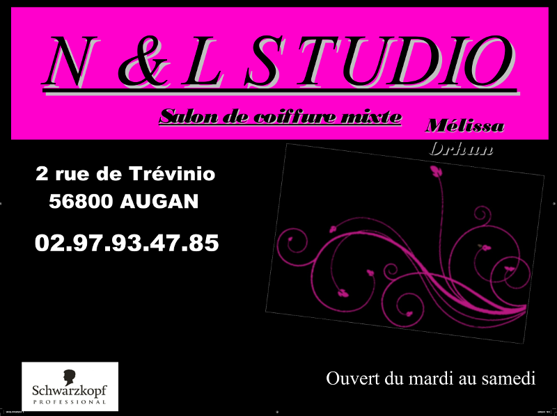 vignette nl-studio